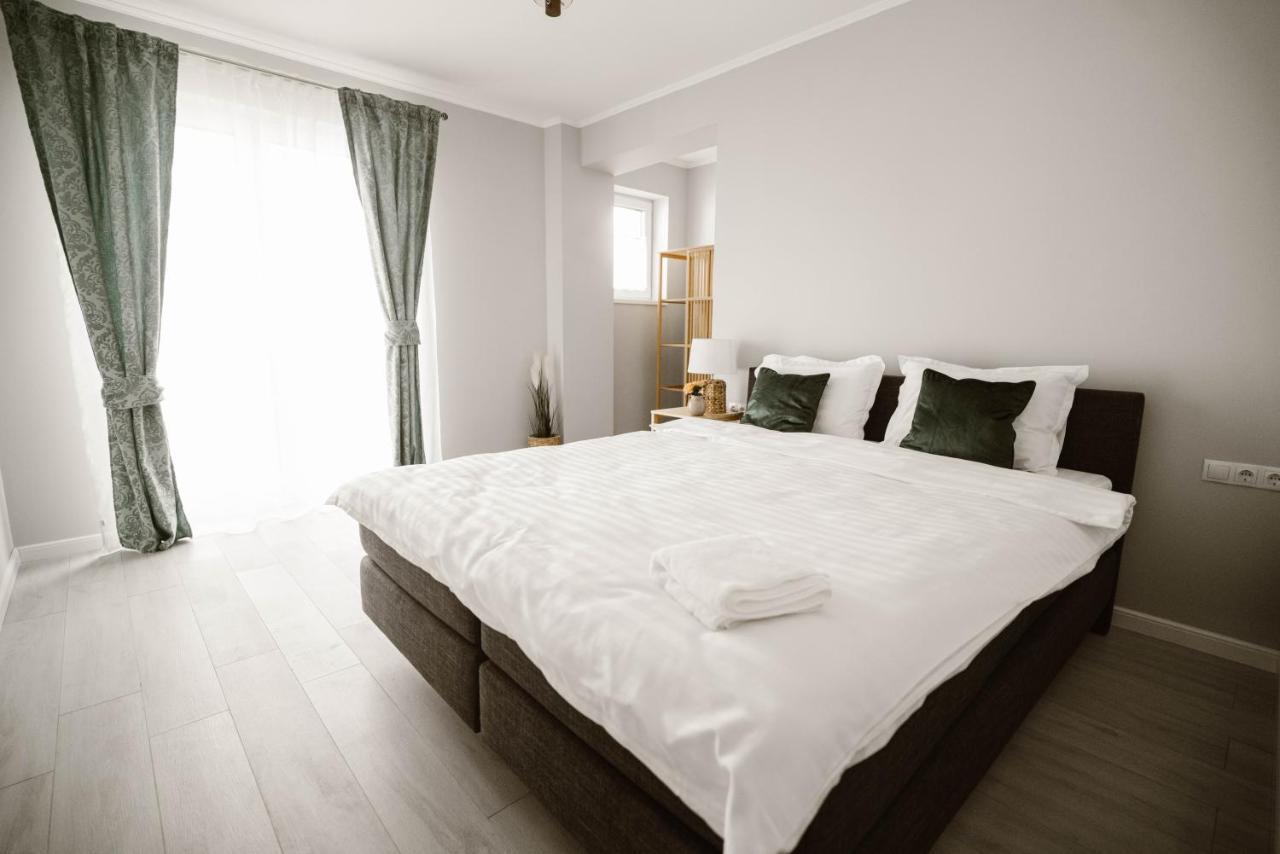 Sibiu Ezonia Central Apartment 外观 照片