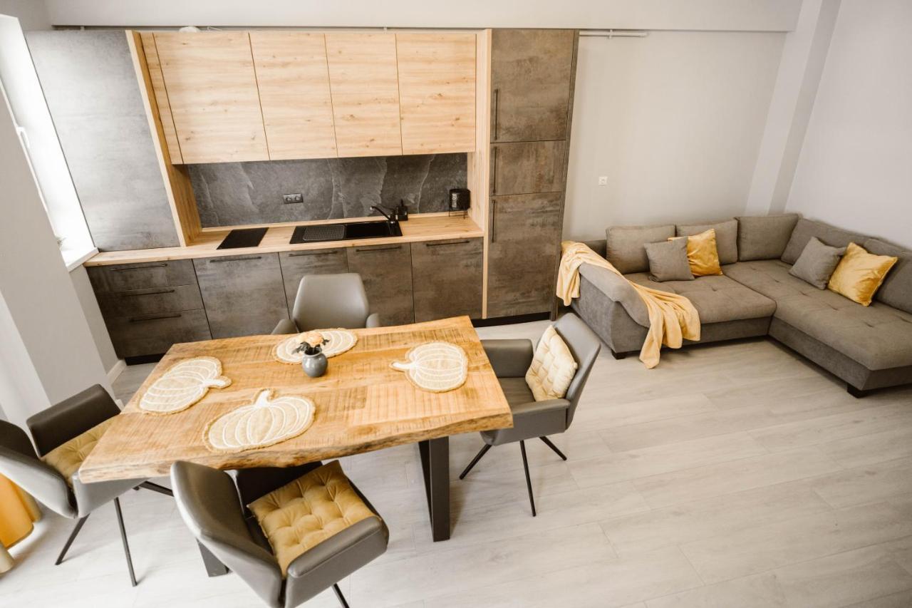 Sibiu Ezonia Central Apartment 外观 照片