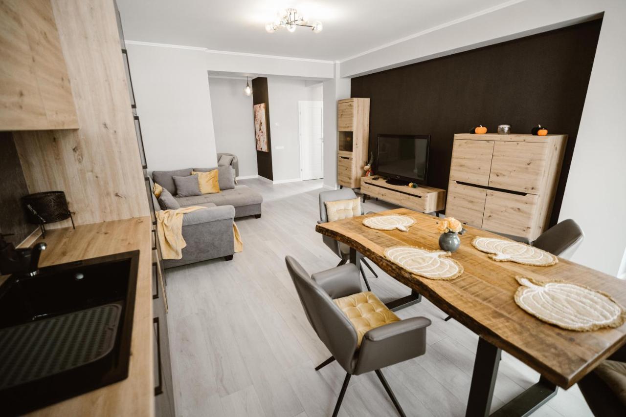 Sibiu Ezonia Central Apartment 外观 照片