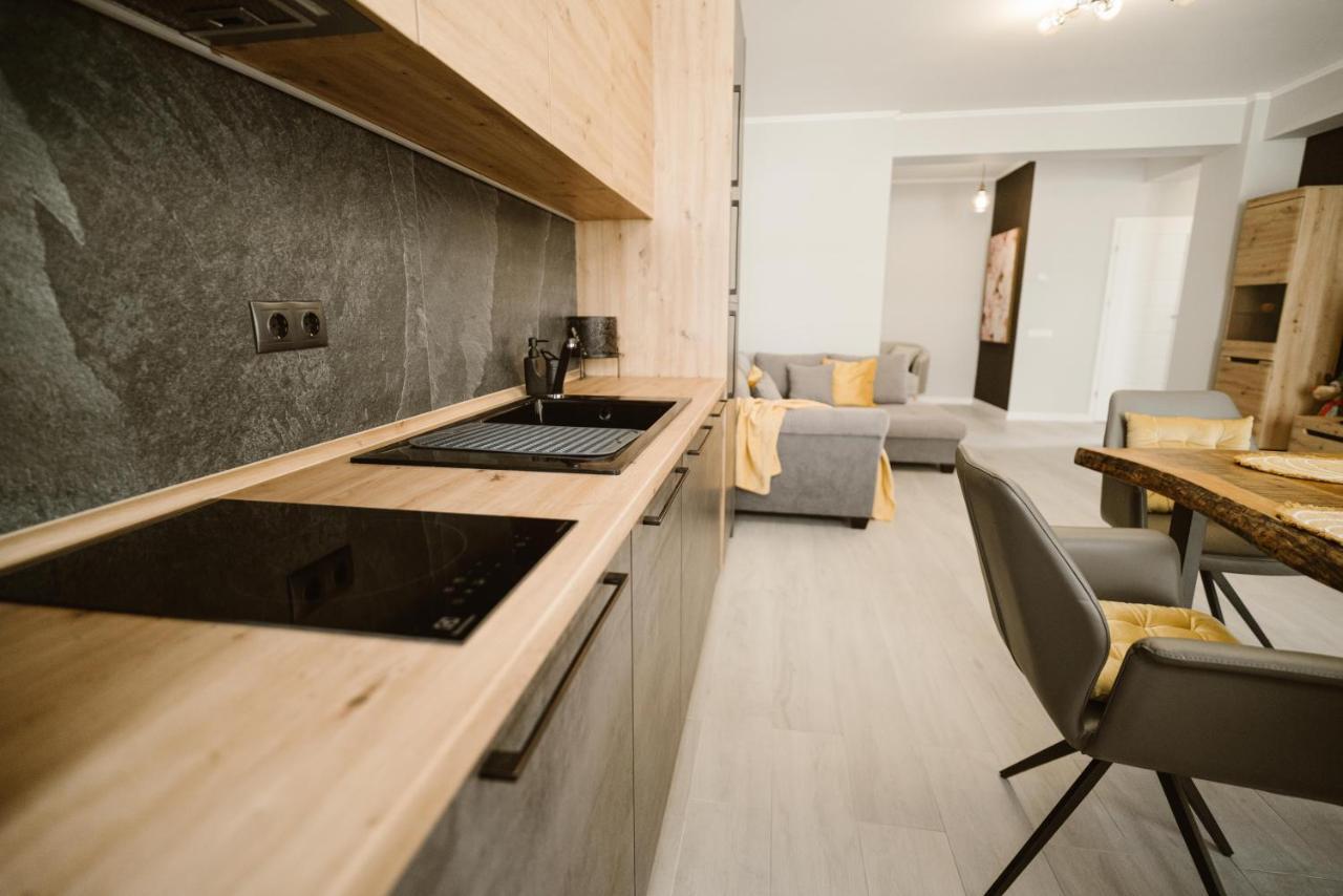 Sibiu Ezonia Central Apartment 外观 照片