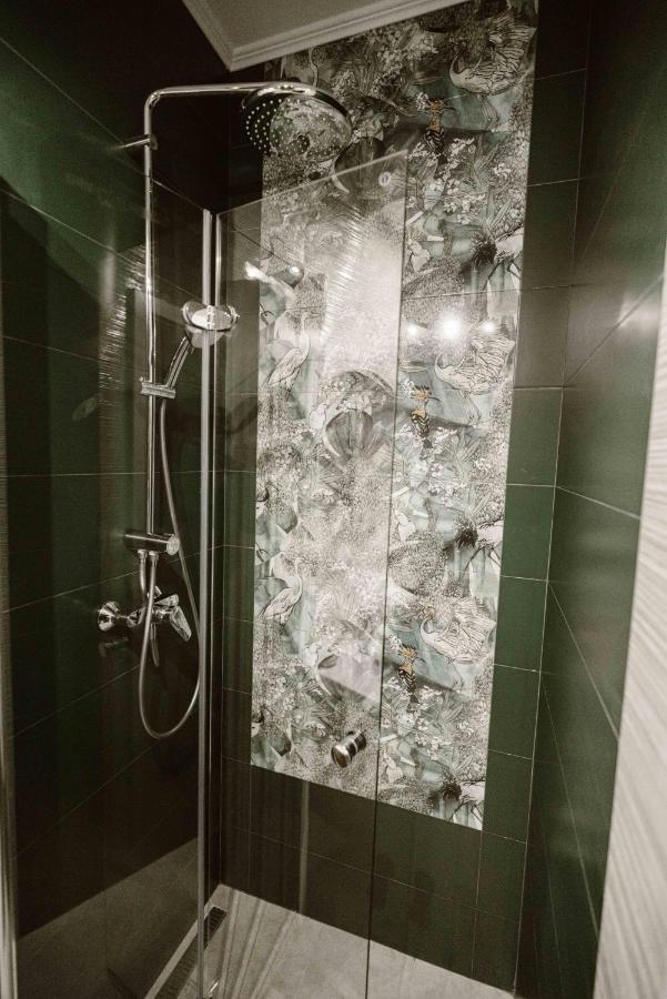 Sibiu Ezonia Central Apartment 外观 照片