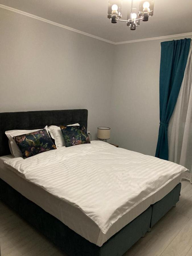 Sibiu Ezonia Central Apartment 外观 照片